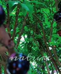 㲻ԼСԺ¶ӪΧȫ¶ӪأȲ迴鰲