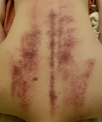 ���ذ��Ĺݣ������˯��������ʪ���ذ��Ա��Ŀ������