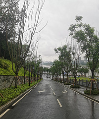 򿨴㺣Ĺ԰ͺݣߵľֵȥ