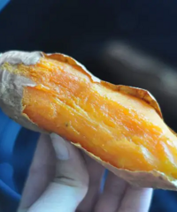 烤出油,甜成蜜!拼多多这3块钱一斤的蜜薯绝了!