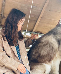 icl����ֲ�뾭����˫�������Ѿ��ָ���1.2