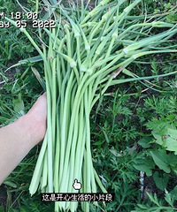 90�����������