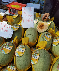 �кö��˺���һ���������ڸϳ��Ŀ���