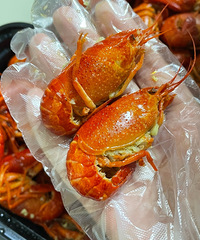 ������С��ϺƷ��̫���ˣ�99����ζ��Ҳ���ܽ���