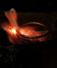 ����������ɹ��³������ڵ����������