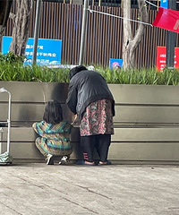 上班路上看到一对母女带着两条狗流浪,好心疼