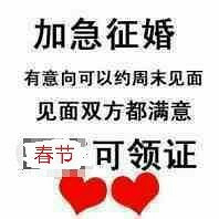 85��170CM�ĵ�������Ա�������飬ϣ���Է�����155����