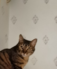 91��176CM�Ľ��Ĺ����������飬ϣ���Է�ס��������