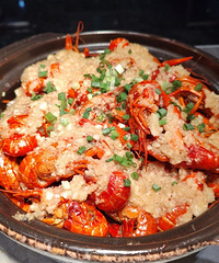 ��ˢ�ڻ����ϾƵ�������