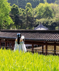 ֱʪءƺ˶ǵıع԰