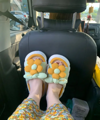 看看我入手的可爱拖鞋!朋友来我家都找我要同款链接