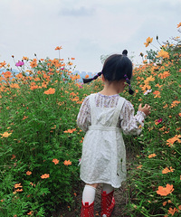 ʵ̽�ͱ�·ʪ�ع�԰