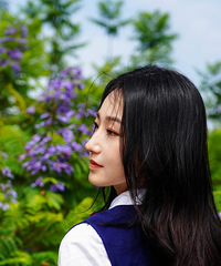 FreeͣεĿ䣡ģؾǾʦ