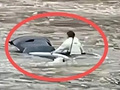 女子驾车坠河身亡