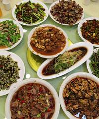 92��172CM������ʳ������С������飬������20������