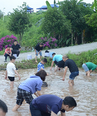 加入遛娃大军,第一次体验野炊火锅、田坎摸鱼