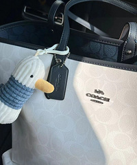ޢ��coach���ذ�Խ��Խϲ��