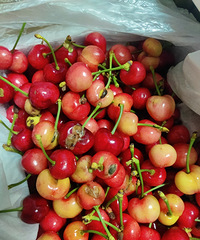 �о��Լ����Ǹ���ԩ�֣���Ȼ���˳�����ӣ�ҵĵ�