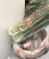 轻轨上一个嬢嬢的鱼和菜被门卡住了