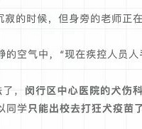 上海交大博士校内逗猫,被取消评奖评优、通报批评