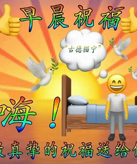 ������ֵ���򡿴�������ֽ��30��50��â��TV��Ա���꿨59