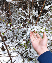 90��175CM����20���������������飬ϣ����28������