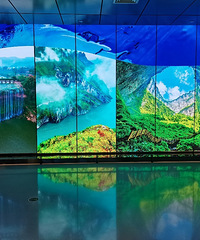 ̽ѵ滮չݣ˵˵ֵֵȥ