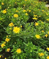 Ů�������ѡ�����ѣ���Ů����28������