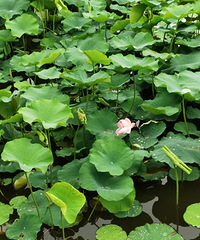 �����ͻȻ����һ���¿���ʱ�䣬���ѡ����ô�����ʱ�䣿