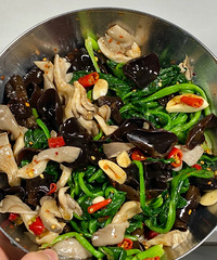 ���ʻ�����Ľ��ñ��������Է���