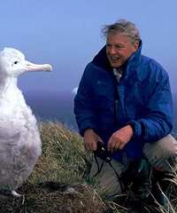 ������96���ˣ������Ǵ���