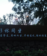 端午节打卡绣球花和音乐喷泉,水洒到身上好凉快呀