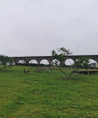 1СʱĻأͯ԰ƺУḻ