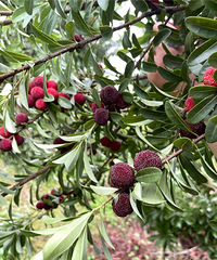 ¶Ӫտժ÷ݶӵĺõط