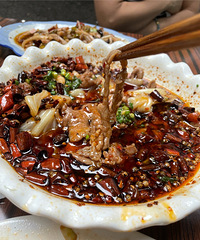 ������ұ���Ĳ�Ӭ���ӣ�ȫ���Դ������������