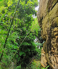 Сڵɽǣⷢһɭؾϸ·