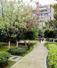 羡慕那种和父母住一个小区的