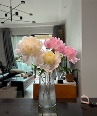 85��170CM��С������飬ϣ���Է�80~90��