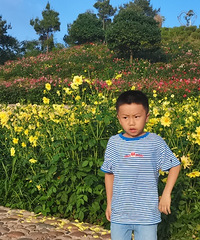 ɾ¶Ӫأʩȫжͯ԰ܼ