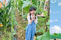 ܱ߾Ϳ԰ȡժӡժѵĺõط