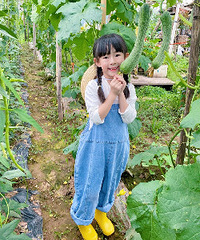 市区能搬苞谷、摘茄子、番茄的好地方