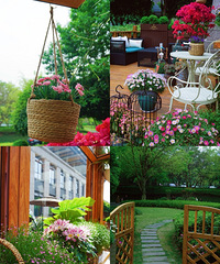 ������԰��ʽ�Ƶ꣬�������ص���Ұ���������ʱ��