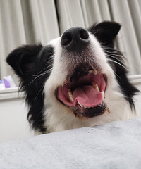 3�׷��¹�2��93��������������������г���