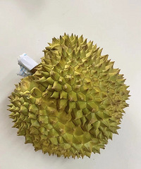 在拼多多上买榴莲就像开盲盒,居然买到惊喜款!好开心
