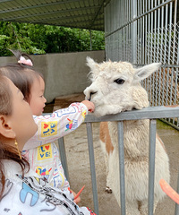 森林中的绝美悬崖无边游泳池,这里真是避暑好地方