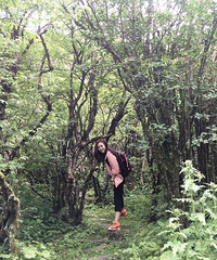 94��160CM�İ������������飬���¹������ҵ