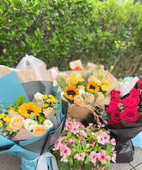 ������Ů���°�ͼ����ÿ�굽��ҵ�����룬��һ�����ᵫ����Ȼ