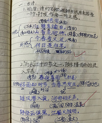 孩子转眼即逝的三年级,这一学年正赶上双减和教改