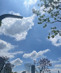 ҽԺ�ϰ�ĵ����������°�����°����ֹ����޹���è