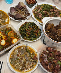 ҽԺ�ϰ�ĵ����������°�����°����ֹ����޹���è